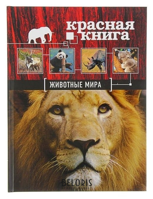 

Красная книга Животные мира Скалдина О. В., Слиж Е. А