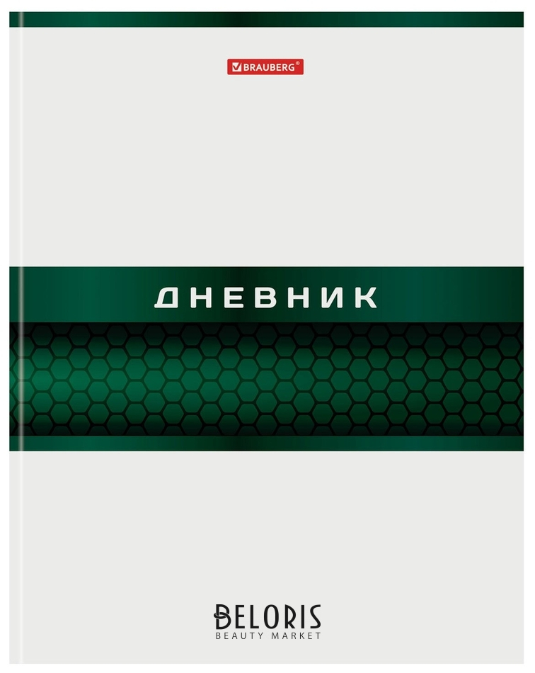 

Дневник 5-11 класс, 48 л., твердый, металлизированный картон, с подсказом, "Металлик