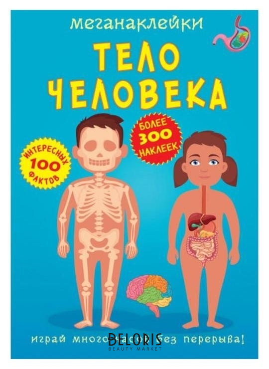 

Меганаклейки. тело человека